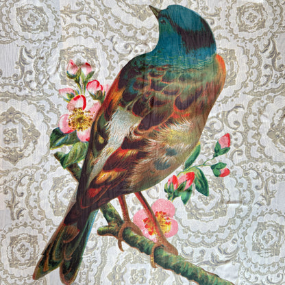 TUCH "PRACHTVOGEL"